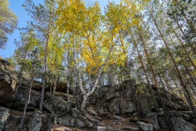 2021 Қазақстандағы ішкі туризм: Қазақстандықтарға Бурабайға қарағанда Зеренді қолжетімді - фото 15