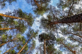 2021 Қазақстандағы ішкі туризм: Қазақстандықтарға Бурабайға қарағанда Зеренді қолжетімді - фото 16