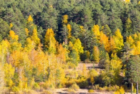 2021 Қазақстандағы ішкі туризм: Қазақстандықтарға Бурабайға қарағанда Зеренді қолжетімді - фото 17