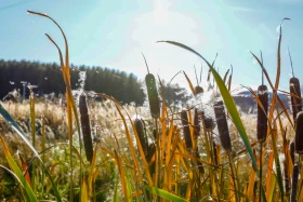 2021 Қазақстандағы ішкі туризм: Қазақстандықтарға Бурабайға қарағанда Зеренді қолжетімді - фото 20