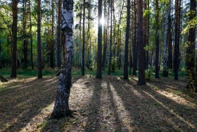 2021 Қазақстандағы ішкі туризм: Қазақстандықтарға Бурабайға қарағанда Зеренді қолжетімді - фото 22