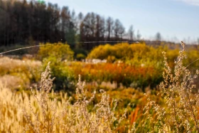 2021 Қазақстандағы ішкі туризм: Қазақстандықтарға Бурабайға қарағанда Зеренді қолжетімді - фото 23