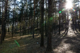 2021 Қазақстандағы ішкі туризм: Қазақстандықтарға Бурабайға қарағанда Зеренді қолжетімді - фото 26