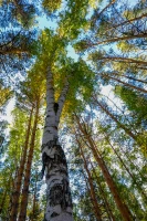 2021 Қазақстандағы ішкі туризм: Қазақстандықтарға Бурабайға қарағанда Зеренді қолжетімді - фото 30