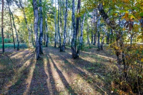 2021 Қазақстандағы ішкі туризм: Қазақстандықтарға Бурабайға қарағанда Зеренді қолжетімді - фото 31