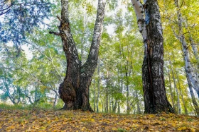 2021 Қазақстандағы ішкі туризм: Қазақстандықтарға Бурабайға қарағанда Зеренді қолжетімді - фото 32