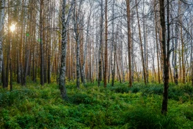 2021 Қазақстандағы ішкі туризм: Қазақстандықтарға Бурабайға қарағанда Зеренді қолжетімді - фото 33