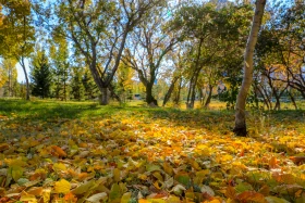 Мизам шуақ: Елорда көшелерінде түсірілген фоторепортаж - фото 18