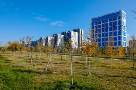 Мизам шуақ: Елорда көшелерінде түсірілген фоторепортаж - фото 26