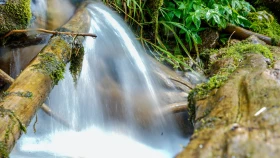 Шырайлы Шығыстың көз тоймас көрікті жерлері - фото 14