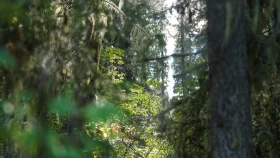 Шырайлы Шығыстың көз тоймас көрікті жерлері - фото 15