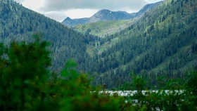 Шырайлы Шығыстың көз тоймас көрікті жерлері - фото 29