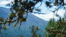 Шырайлы Шығыстың көз тоймас көрікті жерлері - фото 30