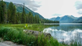 Шырайлы Шығыстың көз тоймас көрікті жерлері - фото 32