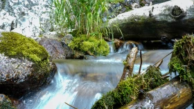 Шырайлы Шығыстың көз тоймас көрікті жерлері - фото 45