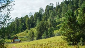 Шырайлы Шығыстың көз тоймас көрікті жерлері - фото 75