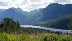 Шырайлы Шығыстың көз тоймас көрікті жерлері - фото 77