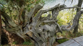 Шырайлы Шығыстың көз тоймас көрікті жерлері - фото 80