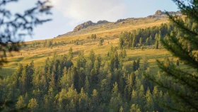 Шырайлы Шығыстың көз тоймас көрікті жерлері - фото 85