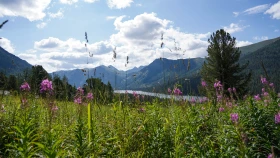 Шырайлы Шығыстың көз тоймас көрікті жерлері - фото 86