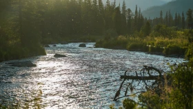 Шырайлы Шығыстың көз тоймас көрікті жерлері - фото 91