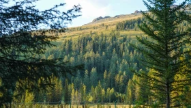 Шырайлы Шығыстың көз тоймас көрікті жерлері - фото 94