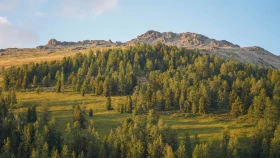 Шырайлы Шығыстың көз тоймас көрікті жерлері - фото 97