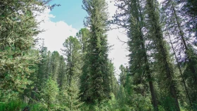 Шырайлы Шығыстың көз тоймас көрікті жерлері - фото 98