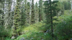 Шырайлы Шығыстың көз тоймас көрікті жерлері - фото 101