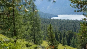 Шырайлы Шығыстың көз тоймас көрікті жерлері - фото 115