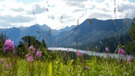 Шырайлы Шығыстың көз тоймас көрікті жерлері - фото 122