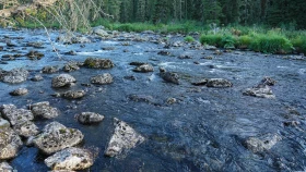 Шырайлы Шығыстың көз тоймас көрікті жерлері - фото 125