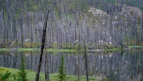 Шырайлы Шығыстың көз тоймас көрікті жерлері - фото 133