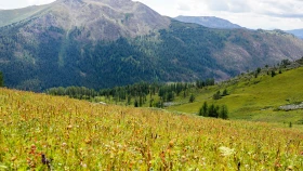 Шырайлы Шығыстың көз тоймас көрікті жерлері - фото 134