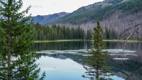 Шырайлы Шығыстың көз тоймас көрікті жерлері - фото 136