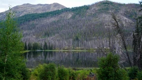 Шырайлы Шығыстың көз тоймас көрікті жерлері - фото 139