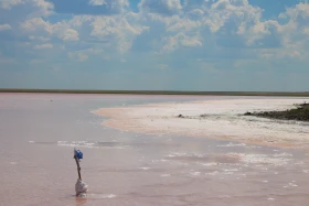 Ақмола облысындағы Қызғылт көл кереметі - фото 8