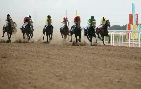 Қазақтың ұлттық спорт ойындары - фото 12