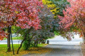 Теплые краски осени.  Астана и Алматы. - фото 15