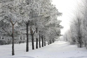 Зимние пейзажи Астаны - фото 14