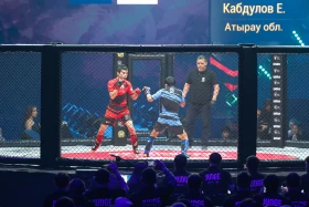 Алматыда ММА-дан Қазақстан чемпионаты өтті - фото 14