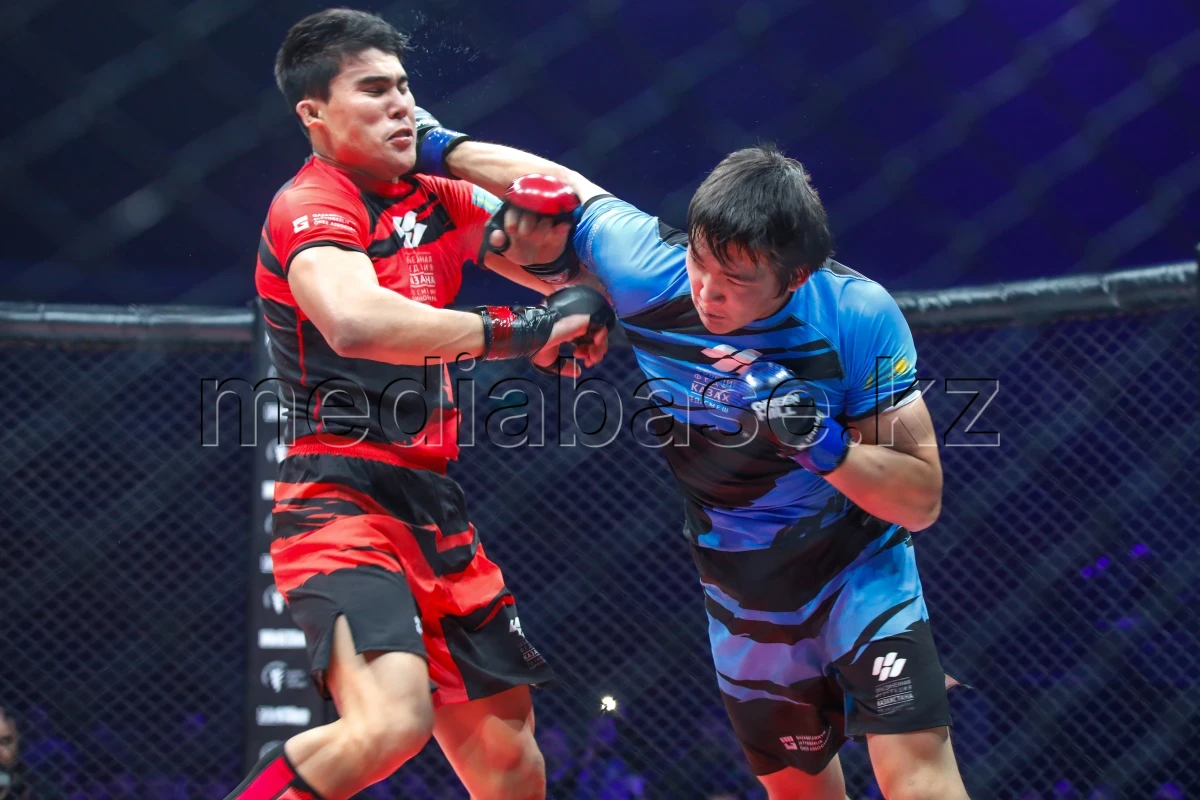 Алматыда ММА-дан Қазақстан чемпионаты өтті - фото 1