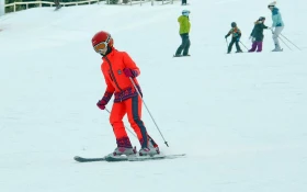 Шымбұлақта экстремалдардың шоуы өтті - фото 2