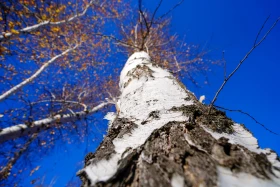 Орал қаласы - фото 19