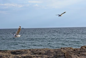 Ақтау – ақ тастар үстіндегі қала - фото 9