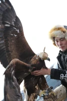 Қазақстан мен Моңғолия бүркітшілері шеберлік байқасты - фото 8