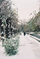 2000 жылдардағы Алматыдағы қыс - фото 27