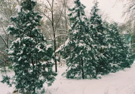 2000 жылдардағы Алматыдағы қыс - фото 28