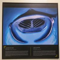 Қазақстан Республикасының Ұлттық музейінде National Geographic журналының көрмесі ашылды - фото 9