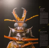 Қазақстан Республикасының Ұлттық музейінде National Geographic журналының көрмесі ашылды - фото 11